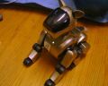 aibo01.jpg