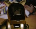 aibo06.jpg